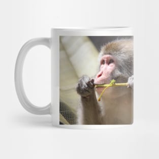 Japanese Snow Monkey Mug